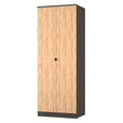 Oak And Graphite / Tall 2 Door Wardrobe